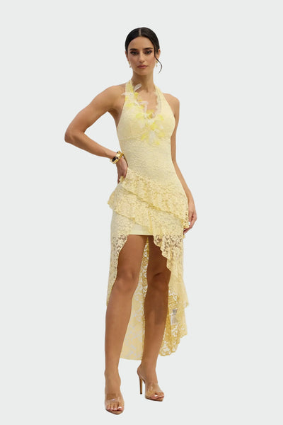 Alexandrina | Violaceous Velvet Embroidered Mini Dress